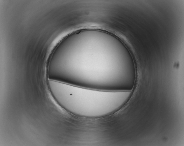 X0000116001424200911191203