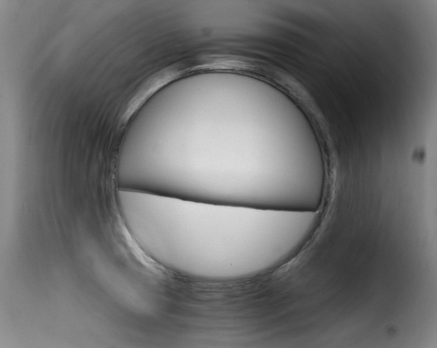 X0000116001425200911191203