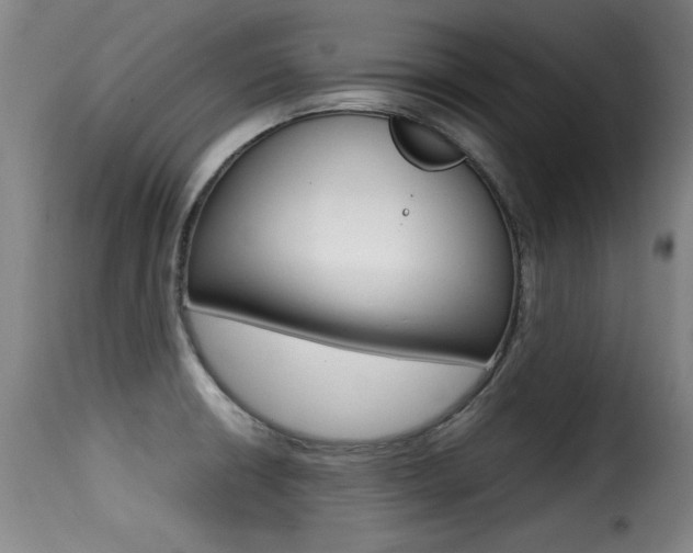 X0000116001426200911191203