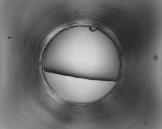 X0000116001427200911191203