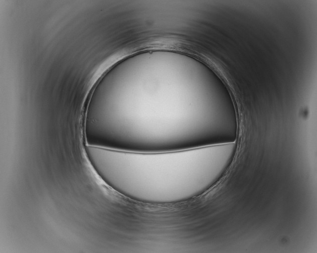 X0000116001434200911191203