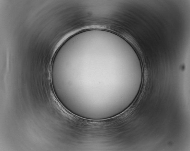 X0000116001436200911191203