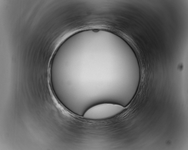 X0000116001439200911191203