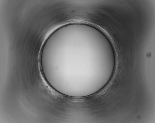 X0000116001440200911191203