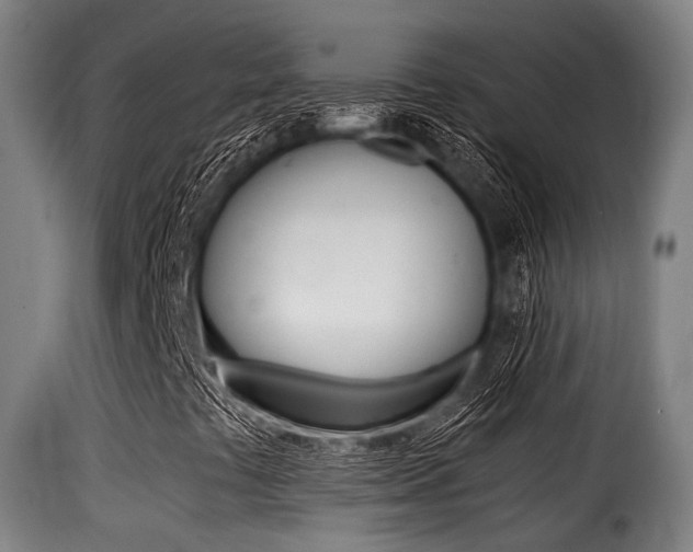 X0000116001441200911191203