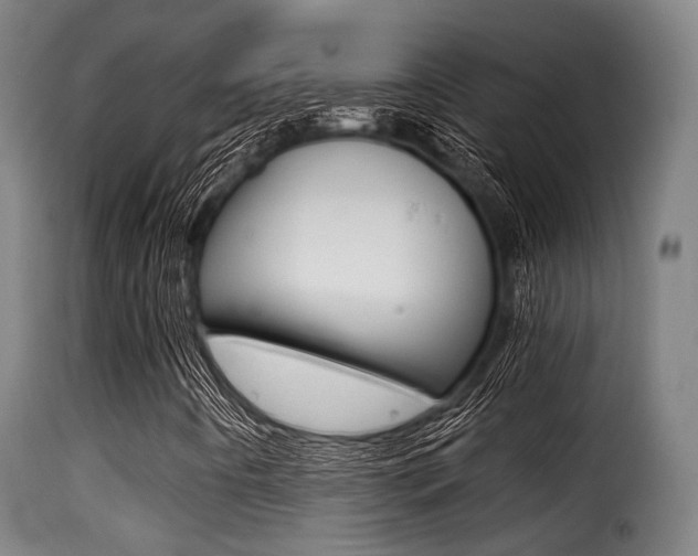X0000116001442200911191203