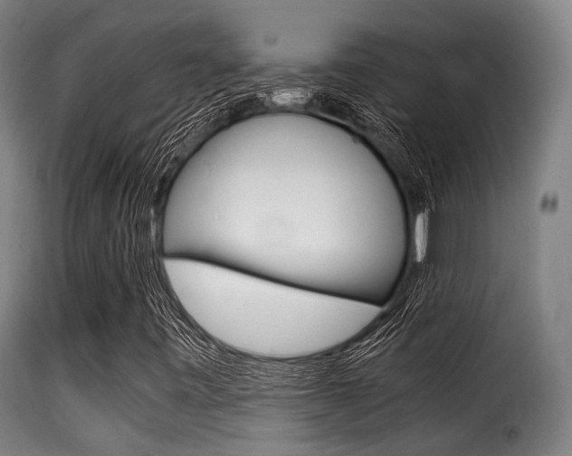 X0000116001443200911191203