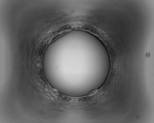 X0000116001445200911191203