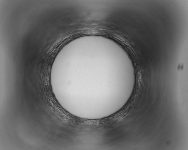 X0000116001446200911191203