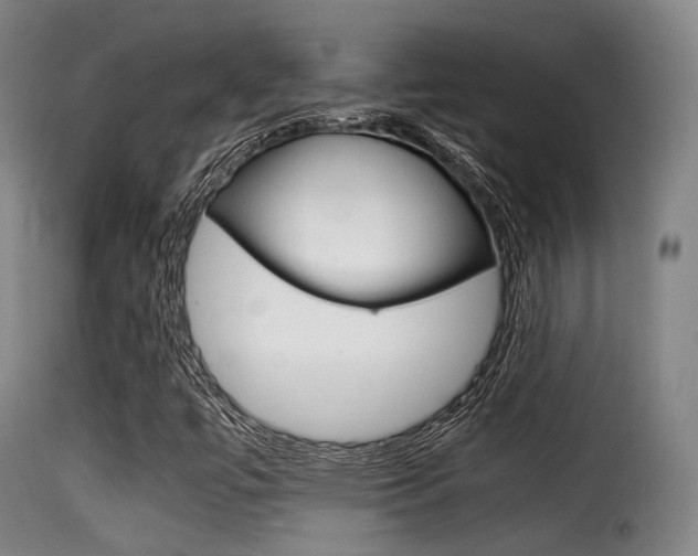X0000116001447200911191203