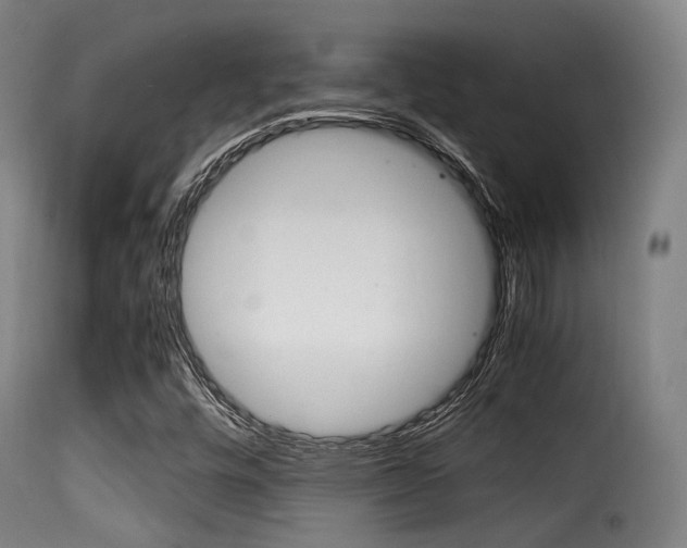 X0000116001448200911191203