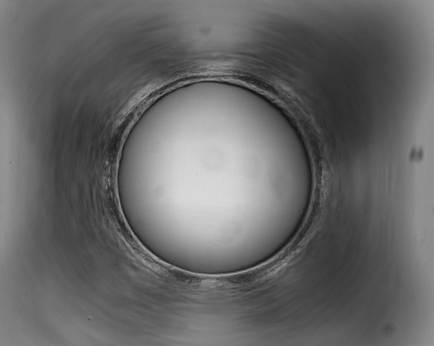X0000116001449200911191203