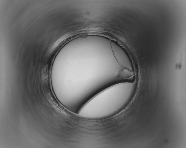 X0000116001450200911191203