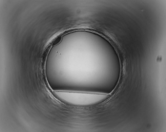 X0000116001452200911191202