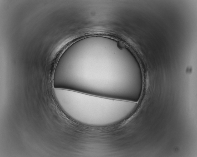 X0000116001453200911191202