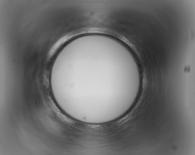 X0000116001454200911191202