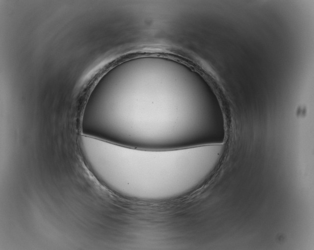 X0000116001456200911191202