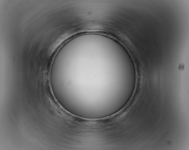 X0000116001457200911191202