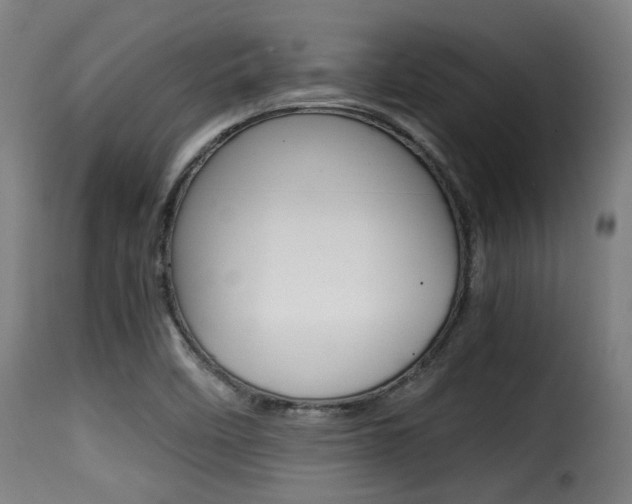 X0000116001458200911191202