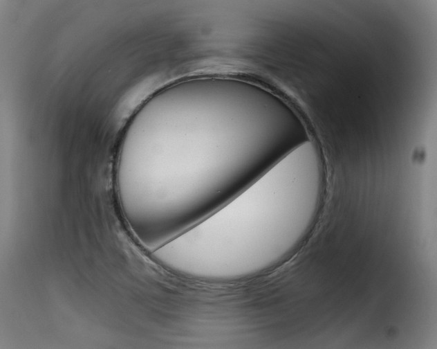 X0000116001459200911191202