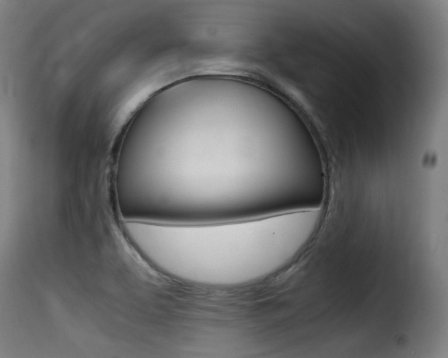 X0000116001463200911191202