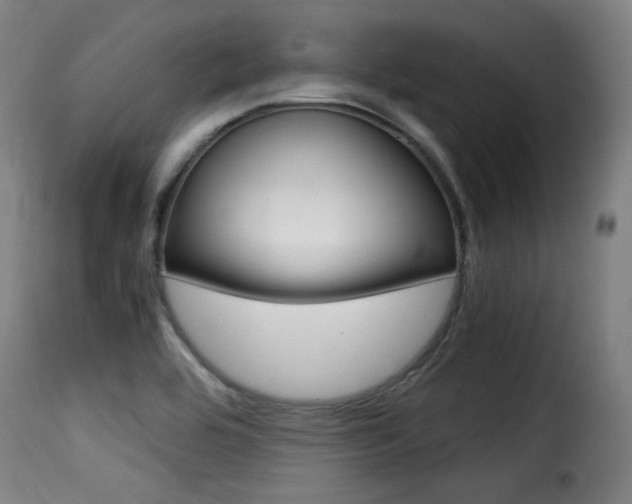 X0000116001464200911191202