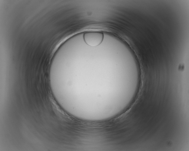 X0000116001465200911191202