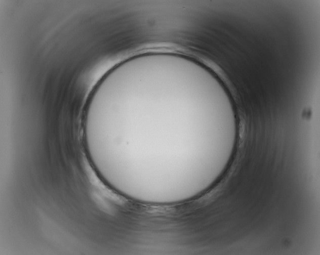 X0000116001466200911191202