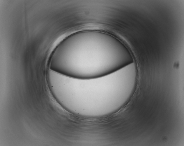 X0000116001467200911191202