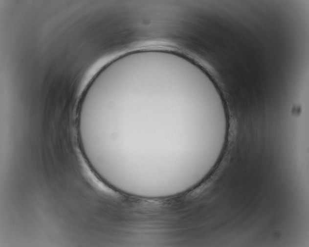 X0000116001470200911191202