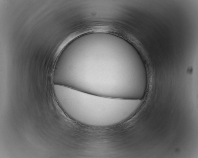 X0000116001473200911191202