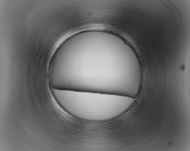 X0000116001475200911191202