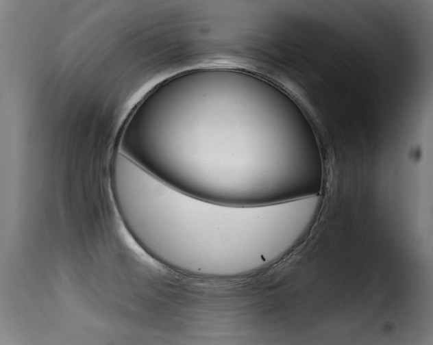 X0000116001476200911191202