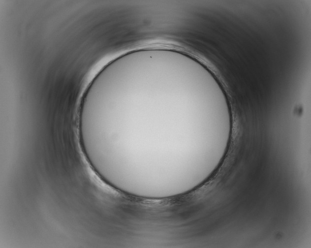 X0000116001478200911191202