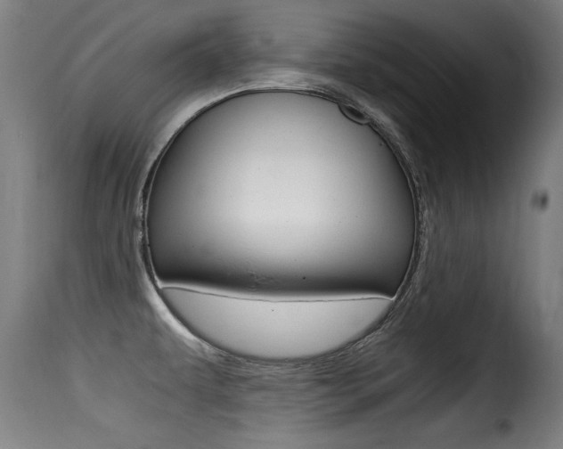 X0000116001479200911191202