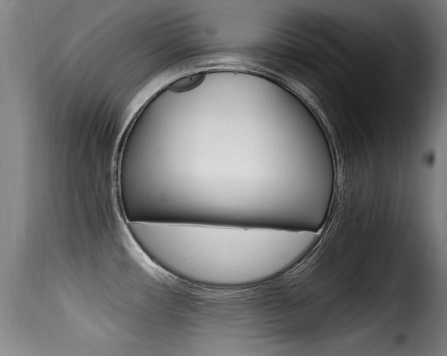 X0000116001482200911191202