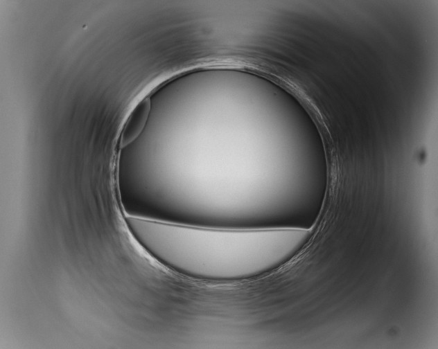 X0000116001484200911191202