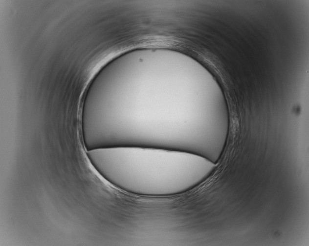 X0000116001487200911191202