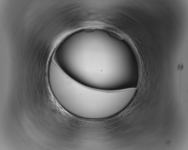X0000116001488200911191202