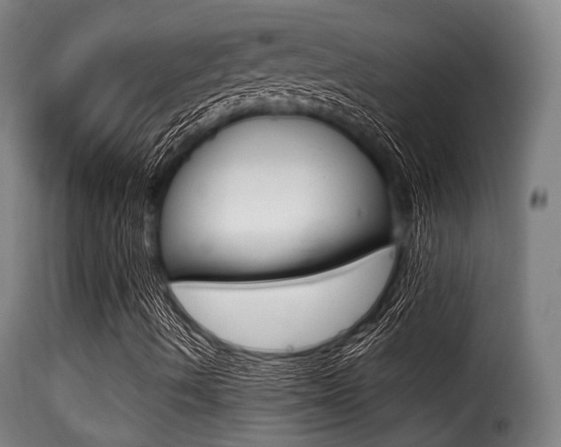 X0000116001490200911191201