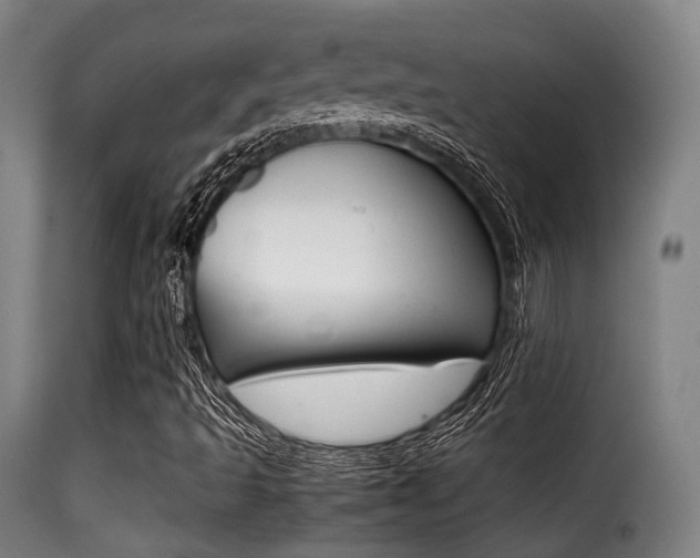 X0000116001493200911191201