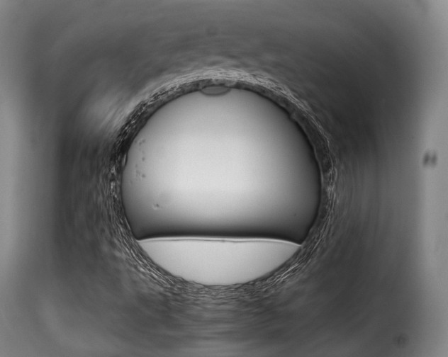 X0000116001495200911191201