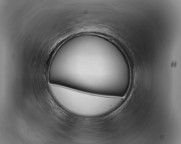 X0000116001497200911191201