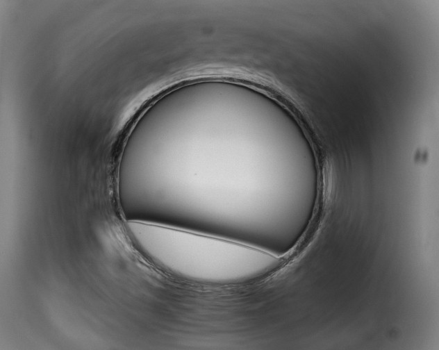X0000116001501200911191201