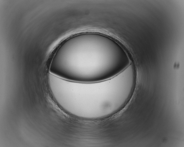 X0000116001502200911191201