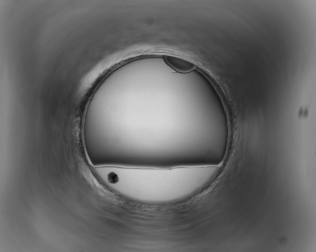 X0000116001503200911191201