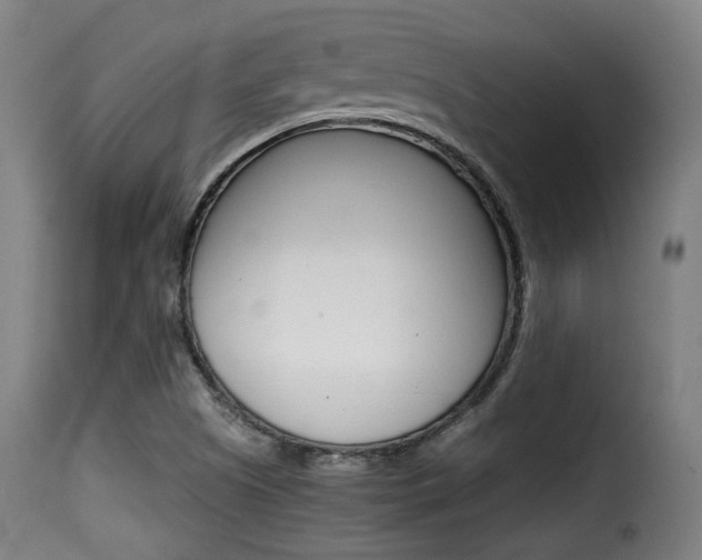 X0000116001505200911191201