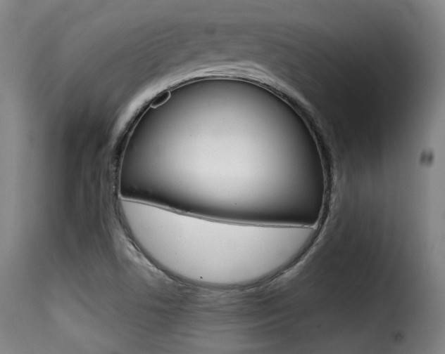 X0000116001506200911191201