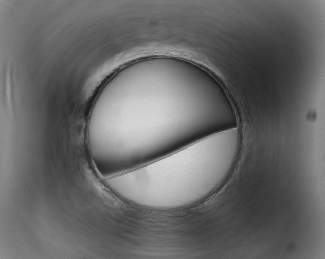 X0000116001507200911191202
