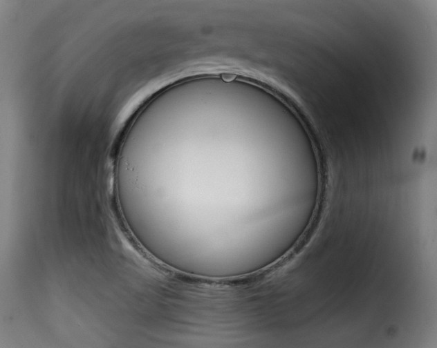 X0000116001509200911191202